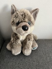 2008 posh paws for sale  SOUTH OCKENDON