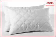 Coppia cuscini fiocco usato Coppia cuscini fiocco usato  Gorla Minore