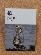 heron for sale heron for sale YORK