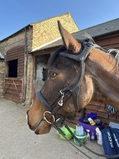 Micklem freedom bridle for sale  ST. IVES