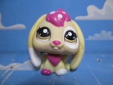 Petshop rabbit belier d'occasion  Expédié en Belgium