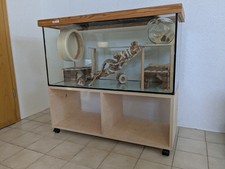 Terrarium glas mäuse gebraucht kaufen  Creußen
