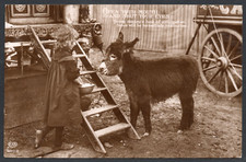 Postcard girl donkey for sale  POOLE