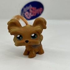 shih tzu comprar usado shih tzu comprar usado  Enviando para Brazil