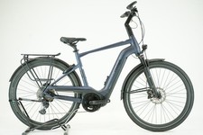 Pegasus strong evo gebraucht kaufen  Dresden
