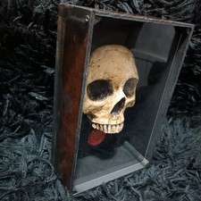 Life size human for sale Life size human for sale  WIGAN