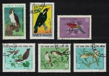 Sale birds small for sale  UK