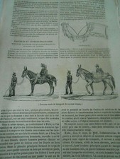 Cacolets litières branncards d'occasion  La Verpillière