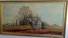 John trickett shire for sale  GRIMSBY