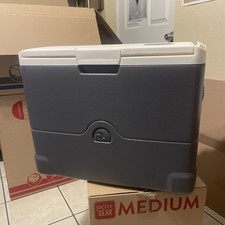 Igloo quart iceless for sale  Clearwater