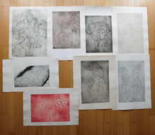 Riginale lithografien franzisk gebraucht kaufen  Berlin