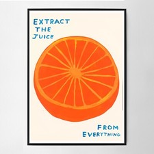 Pôster impresso David Shrigley Extract the Juice comprar usado  Enviando para Brazil