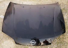 Cofano anteriore motore usato  Catanzaro
