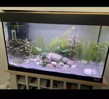 Fluval roma 125 for sale  ENFIELD