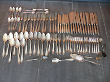 bsf platura gebraucht kaufen  Berkenthin