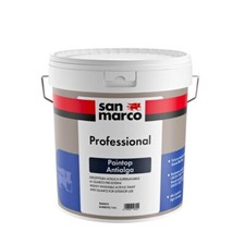 Paintop antialga pittura usato  Acquaviva delle Fonti