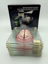 specimen brain coasters for sale specimen brain coasters for sale College Station