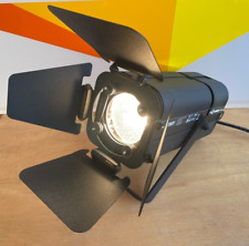 Teclumen mini pony gebraucht kaufen  Metzingen
