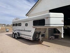 1997 sundowner horse for sale  Chandler