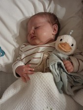 Bambola reborn quinlyn usato Bambola reborn quinlyn usato  Venegono Superiore