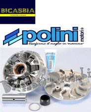 8246 variatore polini usato  Cerignola