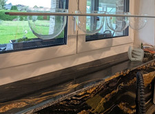 Mono quartett glas gebraucht kaufen  Schleiden