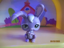 Petshop lapin garenne d'occasion Petshop lapin garenne d'occasion  Saint-Omer