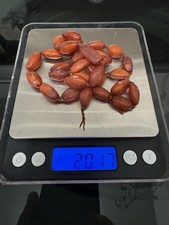 Bead strand yolk for sale  Arcadia