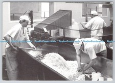 D327602 echter wensleydale gebraucht kaufen  Versand nach Germany