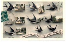 Petit dalles cpa d'occasion  Expédié en Belgium