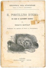 Porcellino india sue usato Porcellino india sue usato  Italia