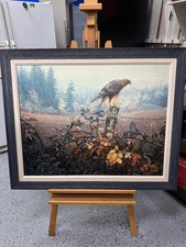 raptors print watch for sale  Wilmington