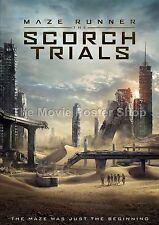maze runner poster for sale maze runner poster for sale UK