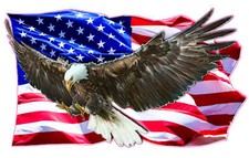 Eagle clean american for sale  Taylor