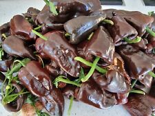 Sementes de pimenta Poblano - 10 sementes frescas - Sementes de pimenta Ancho Poblano Reino Unido comprar usado  Enviando para Brazil