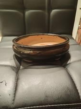 Oval black bonsai for sale  Hazleton