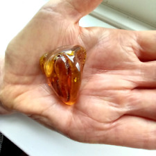 Baltic amber fossil for sale  LEEDS