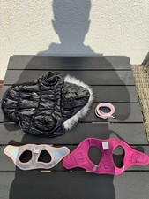 Set leine hundegeschirr gebraucht kaufen  Haunetal