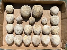 Bulk lot texas for sale  Coppell