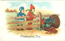 Thanksgiving truthahn kinder gebraucht kaufen  Elsoff, Rehe, Oberroßbach
