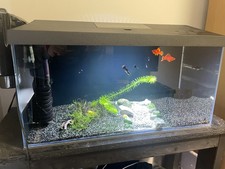 54l complete aquarium for sale  MANCHESTER