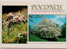 Pennsylvania pocono mountains for sale  Belleville
