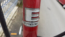 Everest mountain bike gebraucht kaufen  Engelskirchen