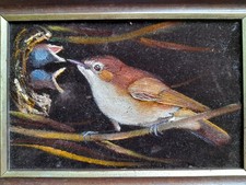 Rigby noakes bird for sale  WOLVERHAMPTON