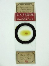 slide bed for sale  BRISTOL