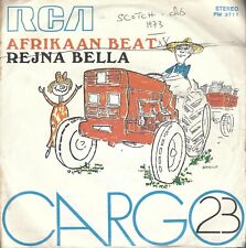 Disco giri cargo usato  La Morra