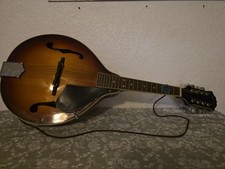 Washburn mandolin string for sale  Upland