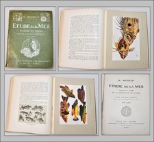 livre biologie d'occasion livre biologie d'occasion Salies-de-Béarn