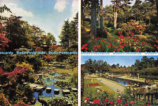 D146232 japanese garden. for sale  WARLINGHAM