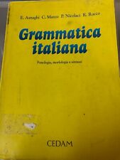 libro grammatica italiana usato  Buggiano